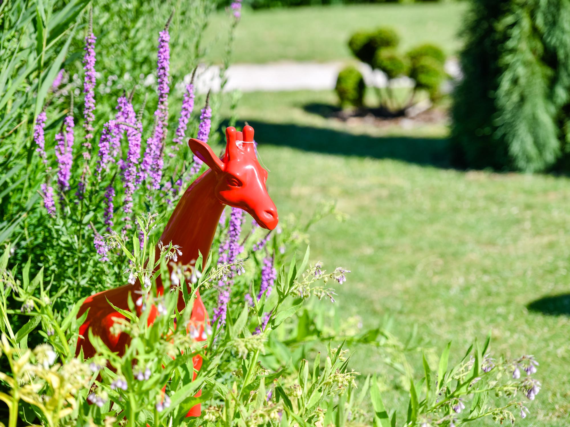 √ Magasin Jardinage En Ligne | Mon Blog Jardinage