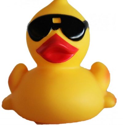 Canard Derby Duck