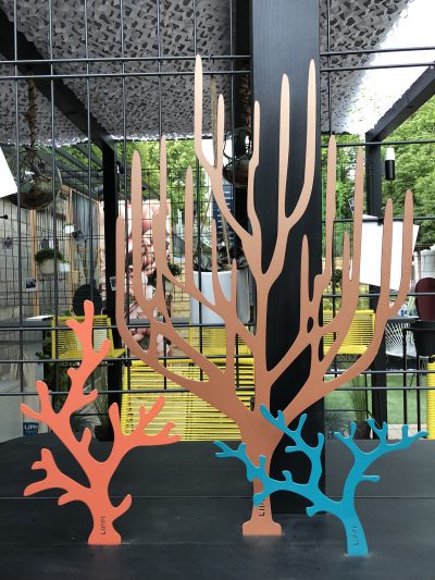 Corail S – Image 3