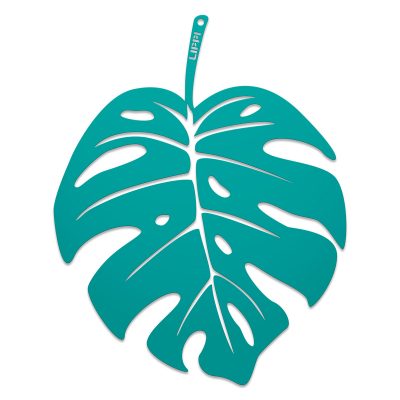Monstera L