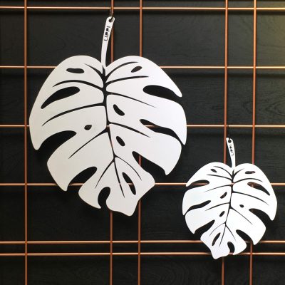 Monstera L – Image 3