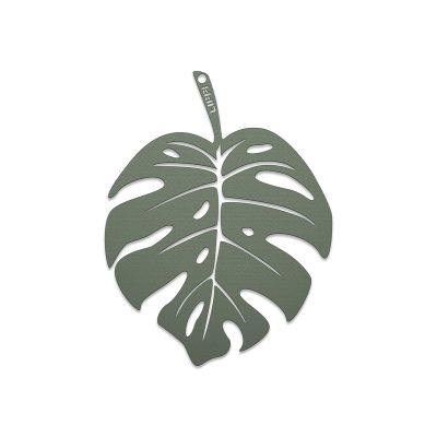 Monstera S