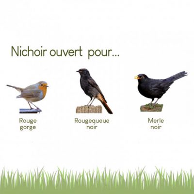 Nichoir ouvert Le Chalet – Image 4