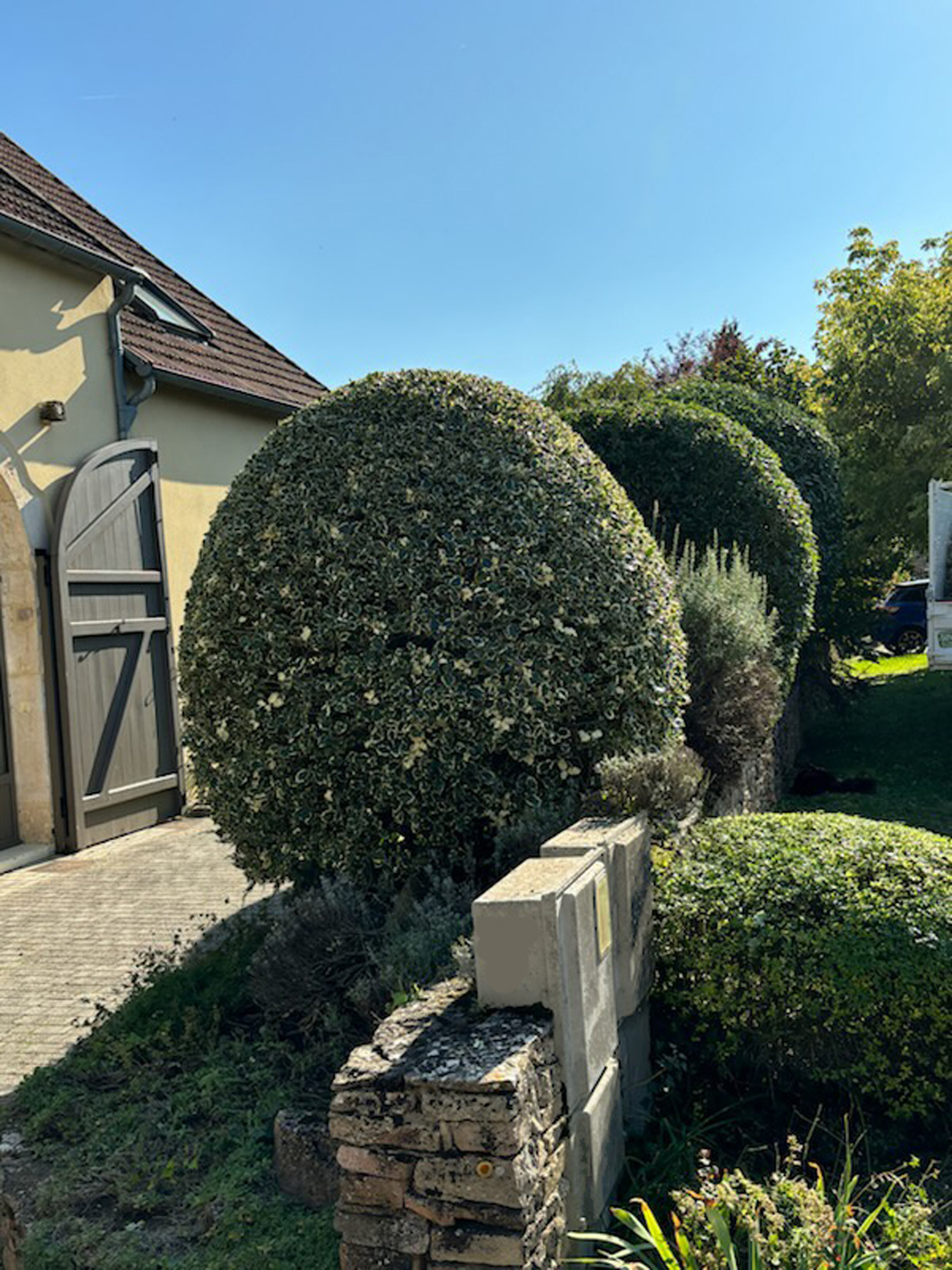 Entretien de jardin sur mesure | Perret Jardin Services