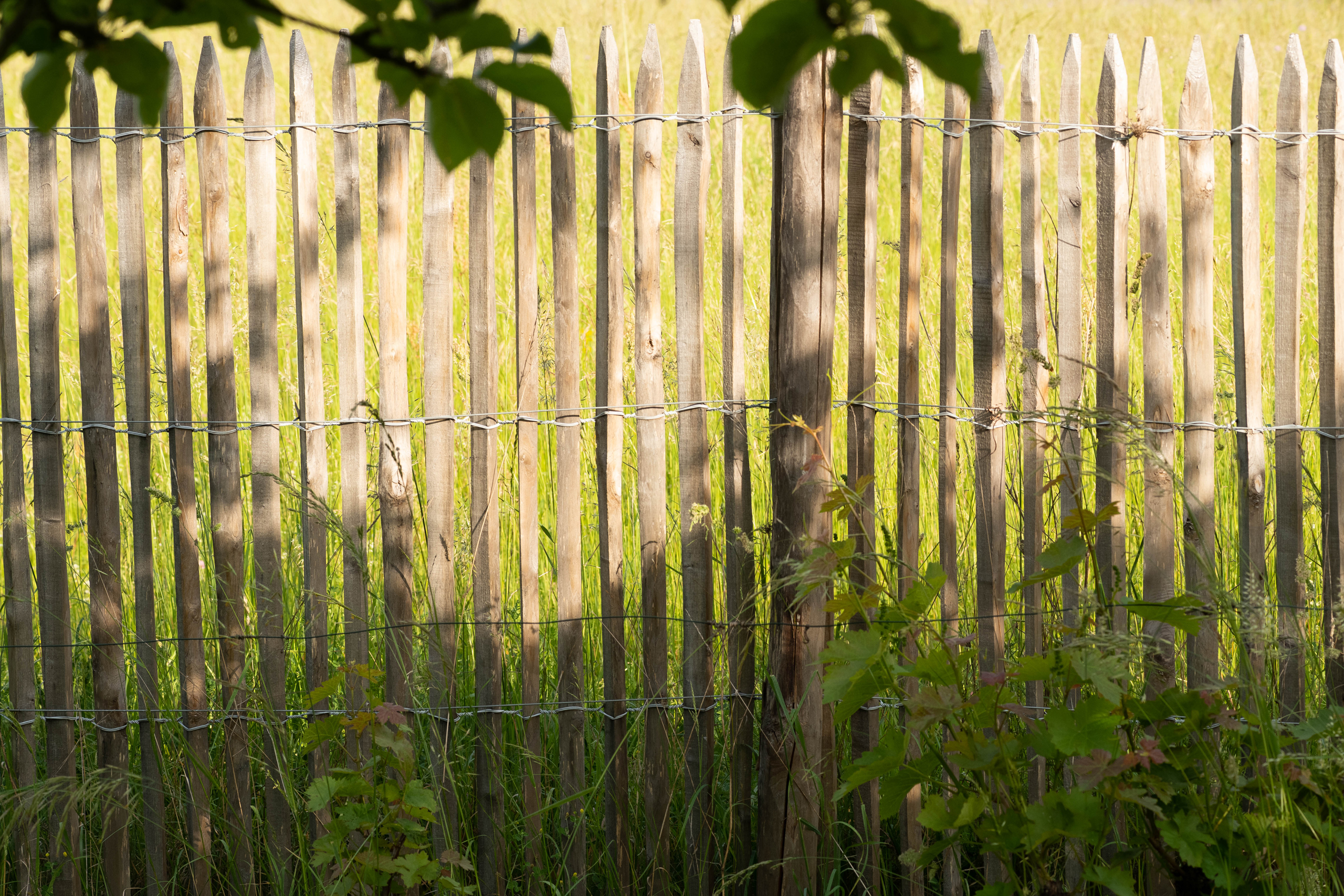 Jardin naturel : conception et aménagement | Perret Paysage