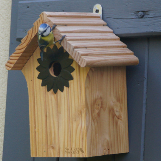 Accessoires de piscine et décoration de jardin | Perret Paysage