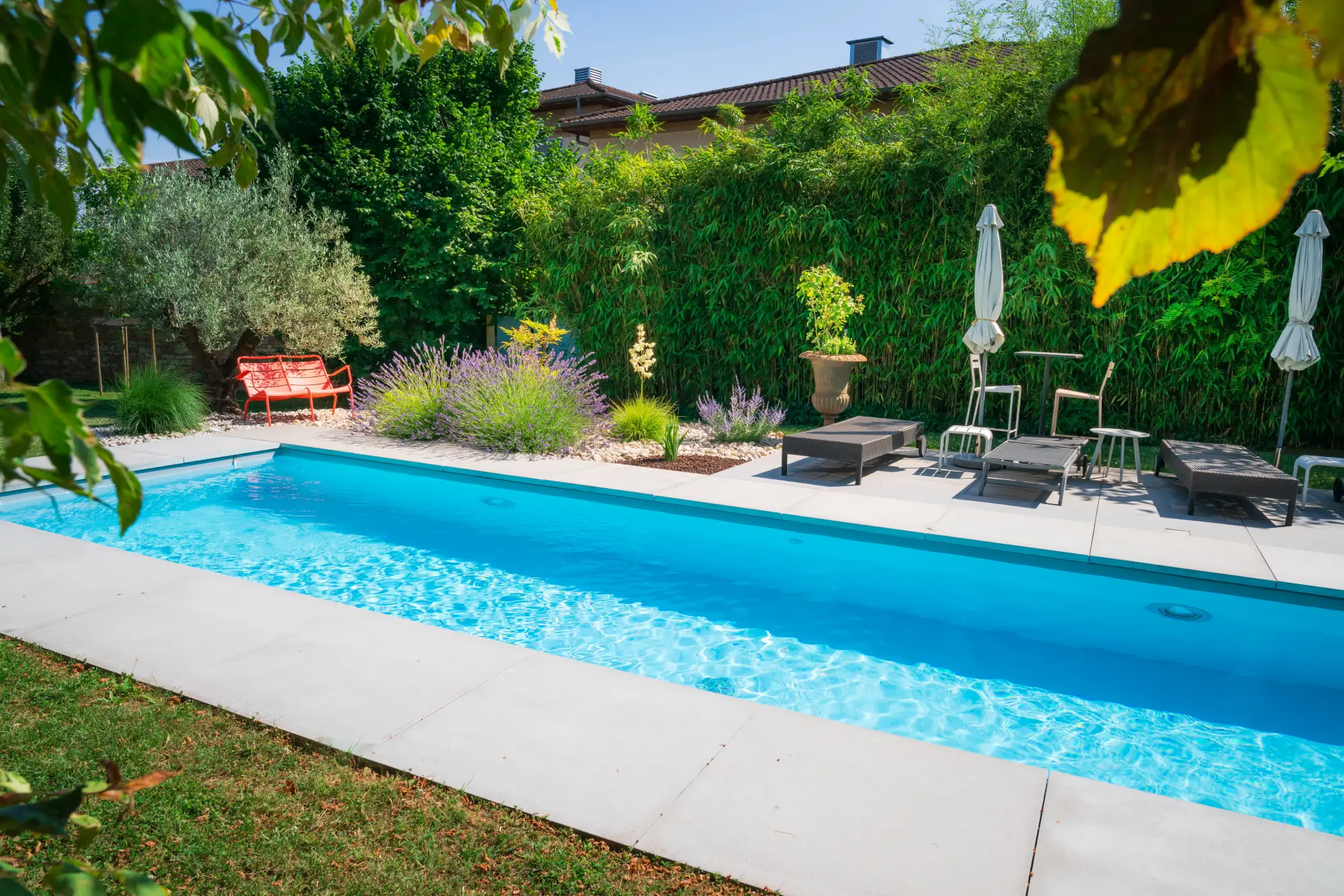 Piscine couloir de nage et terrasse en pierre bordée de lavandes et d'oliviers — Mâcon, Saône-et-Loire — Perret Paysage & Piscine