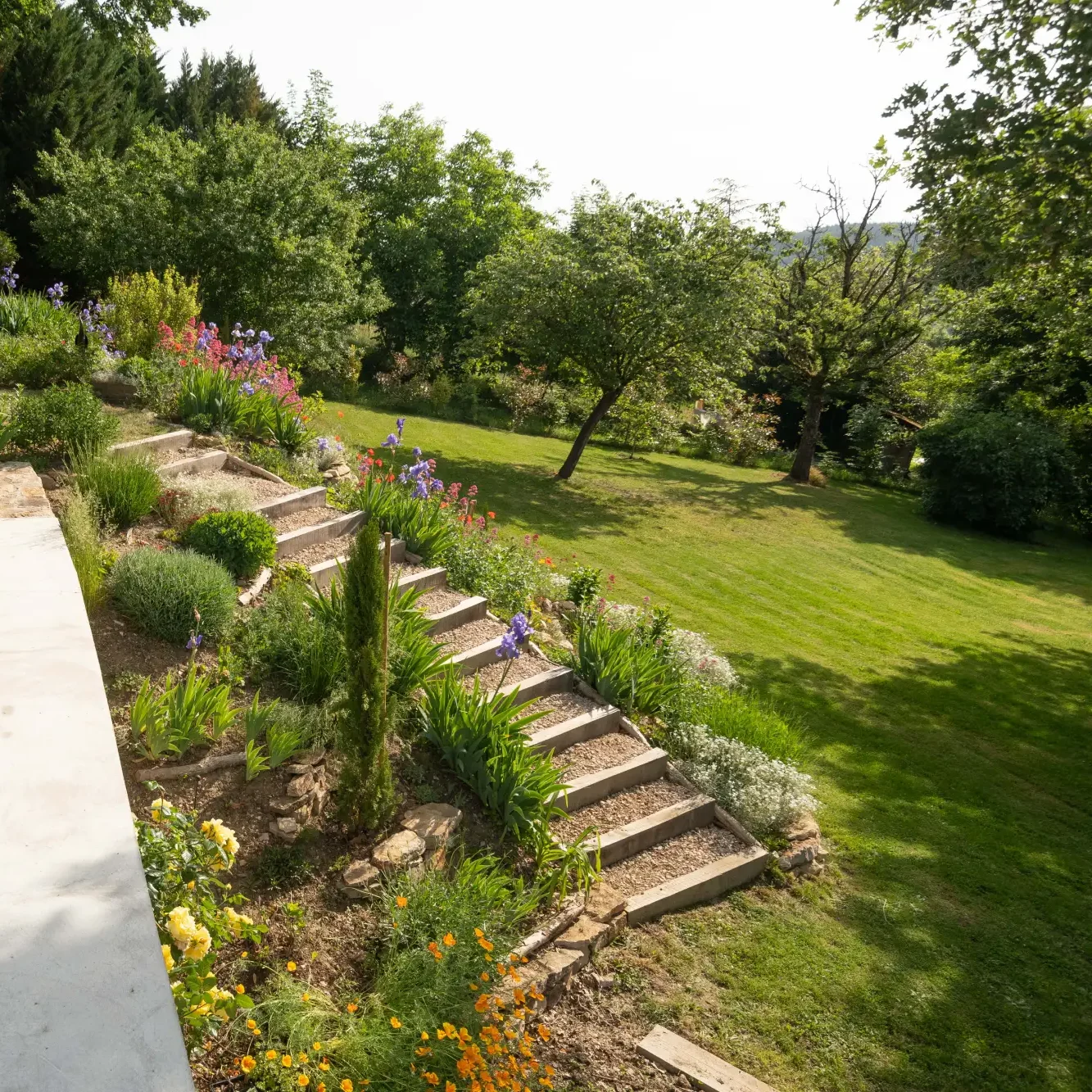 Jardin en pente aménagé en paliers fleuris d'iris et de rosiers — Mâcon, Saône-et-Loire — Perret Paysage & Piscine