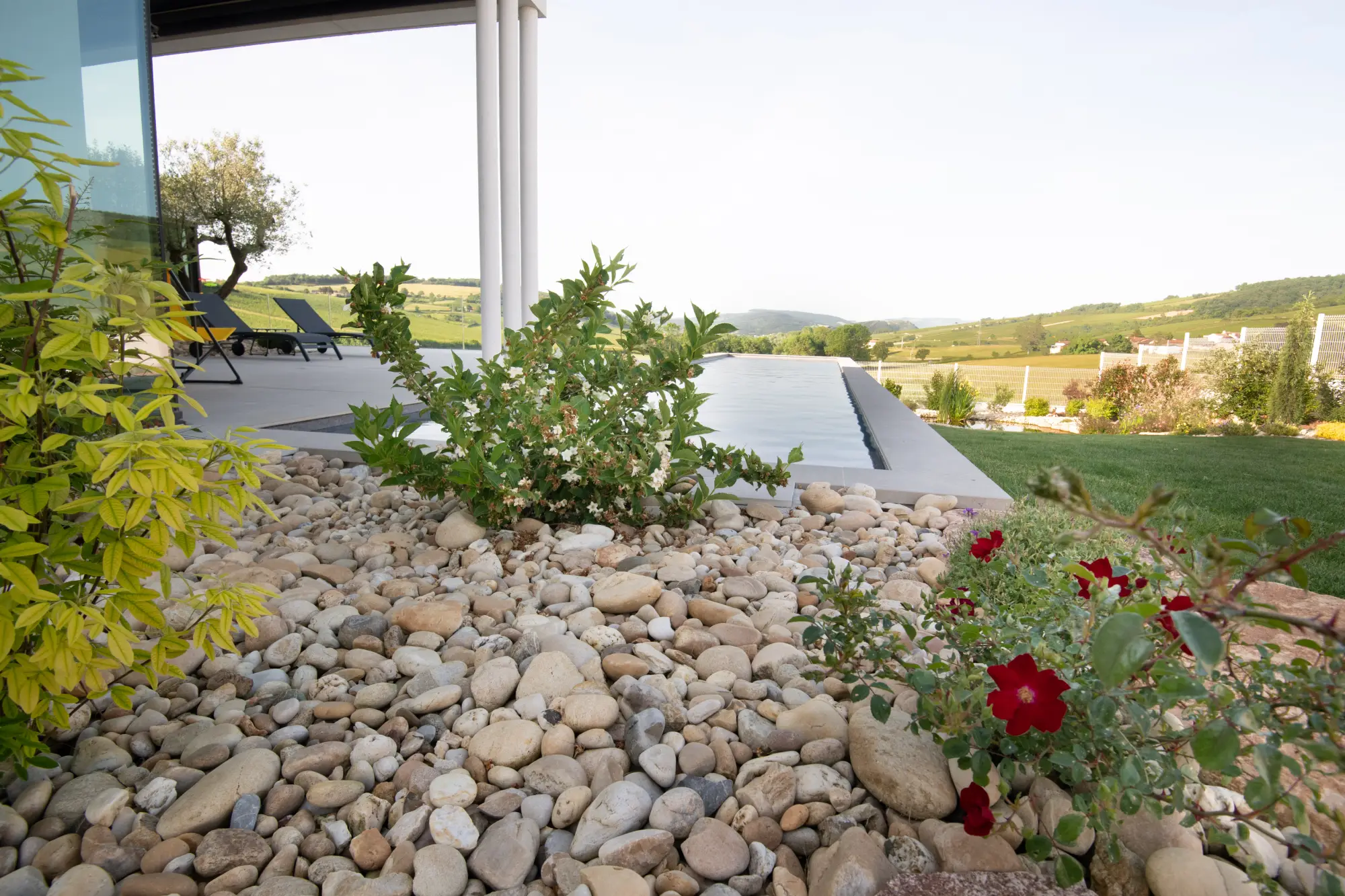 Massif de galets et rosiers au bord d’une piscine à débordement avec vue sur le vignoble — Beaune, Côte-d’Or — Perret Paysage & Piscine