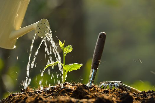 L'eau est précieuse, récupérons la